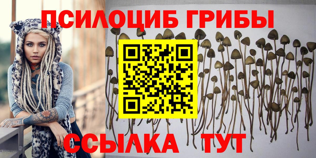 Псилоцибиновые грибы GOLDEN TEACHER Тимашёвск